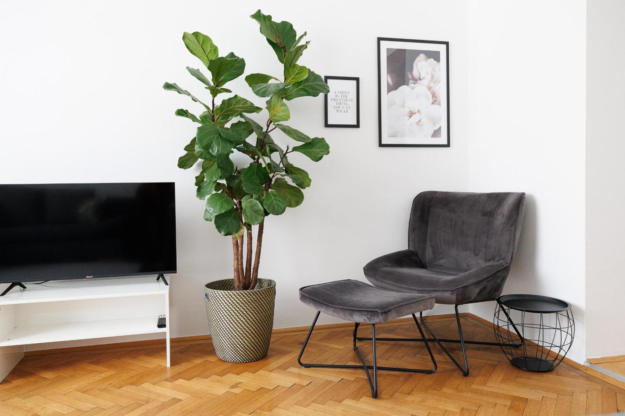 #29 Heaven Messe/prater Appartement